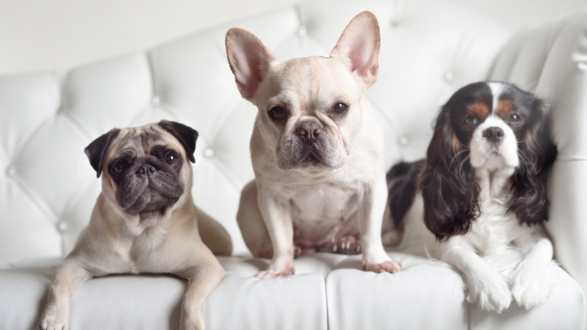 九游官网下载电脑版-NBA裁判协会首次引入女性主席，开创历史先河，nba裁判介绍