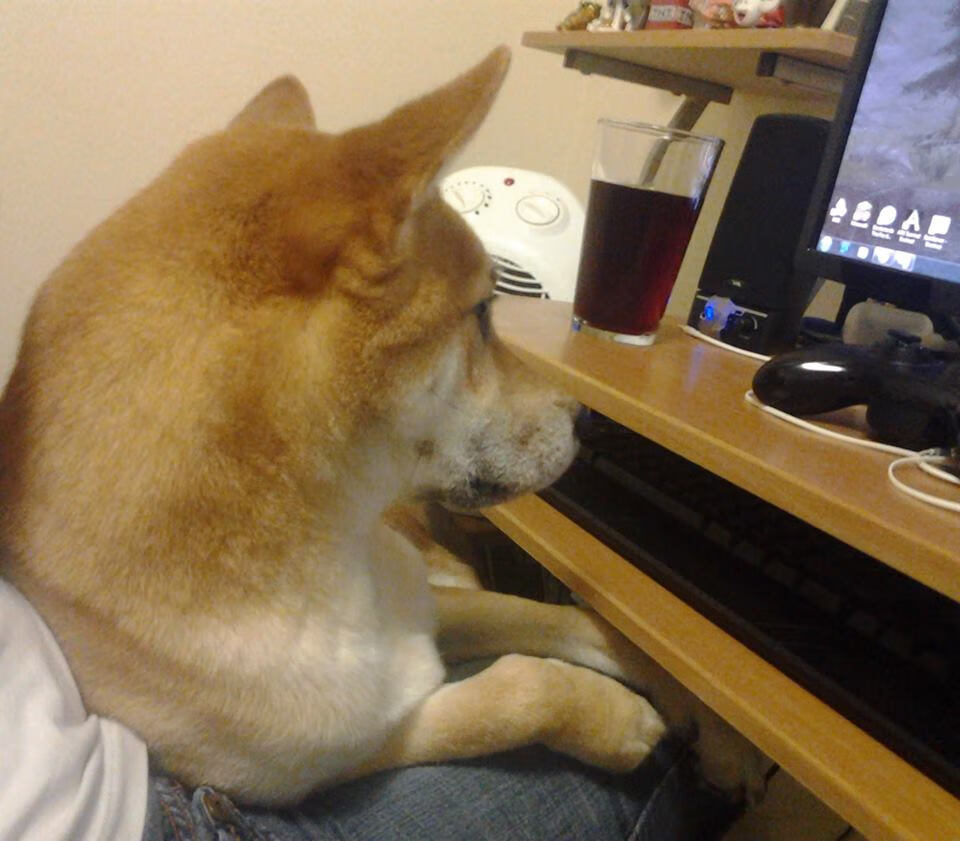 九游网页版官网-《彩虹六号》新干员推出：技能介绍与团队配合，彩虹六号2021干员大全