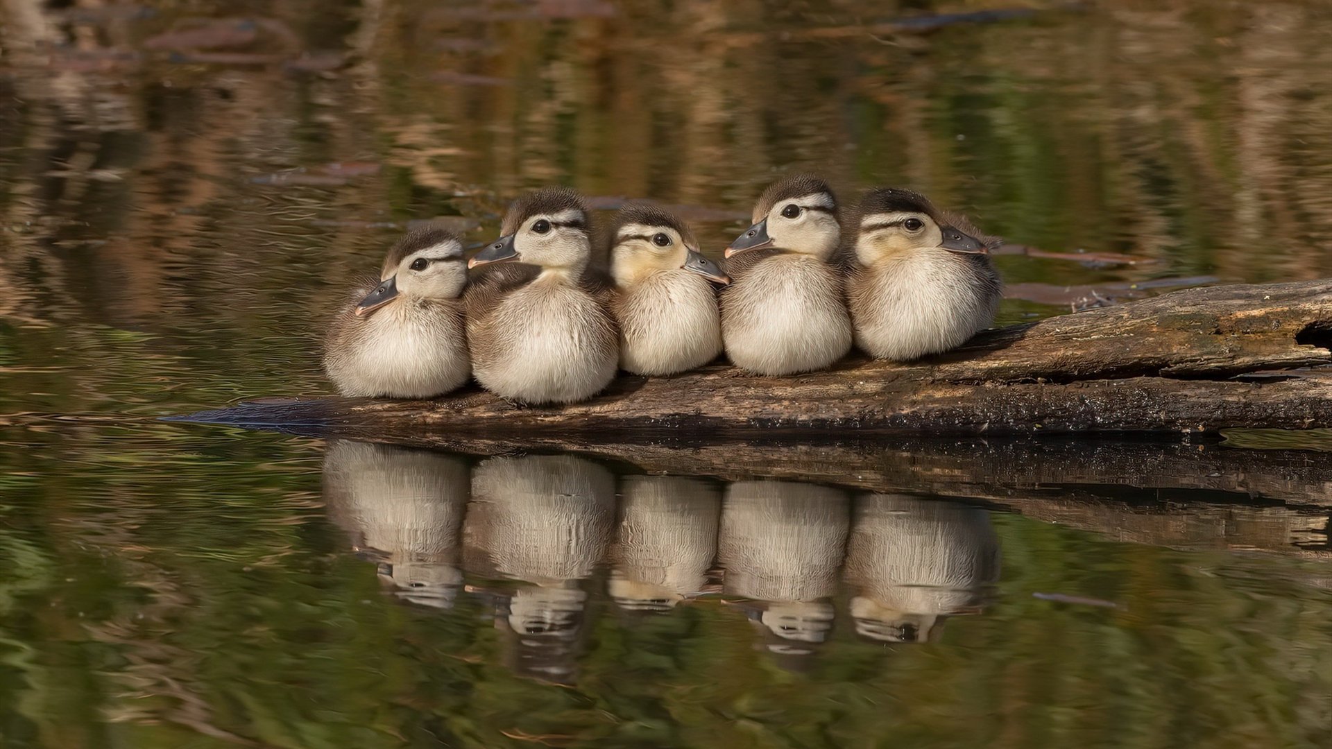 九游app官网下载-【比赛亮点】奥沙利文“罚分”战术的多种应用场景，奥沙利文超分了对手还在继续击打