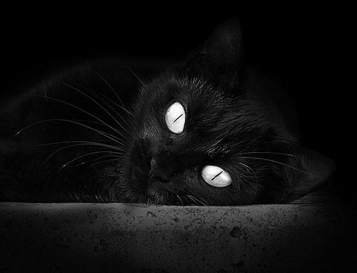 史上最疯狂的外线投篮全集:谁敢挑战纪录?,外线投篮是三分球吗