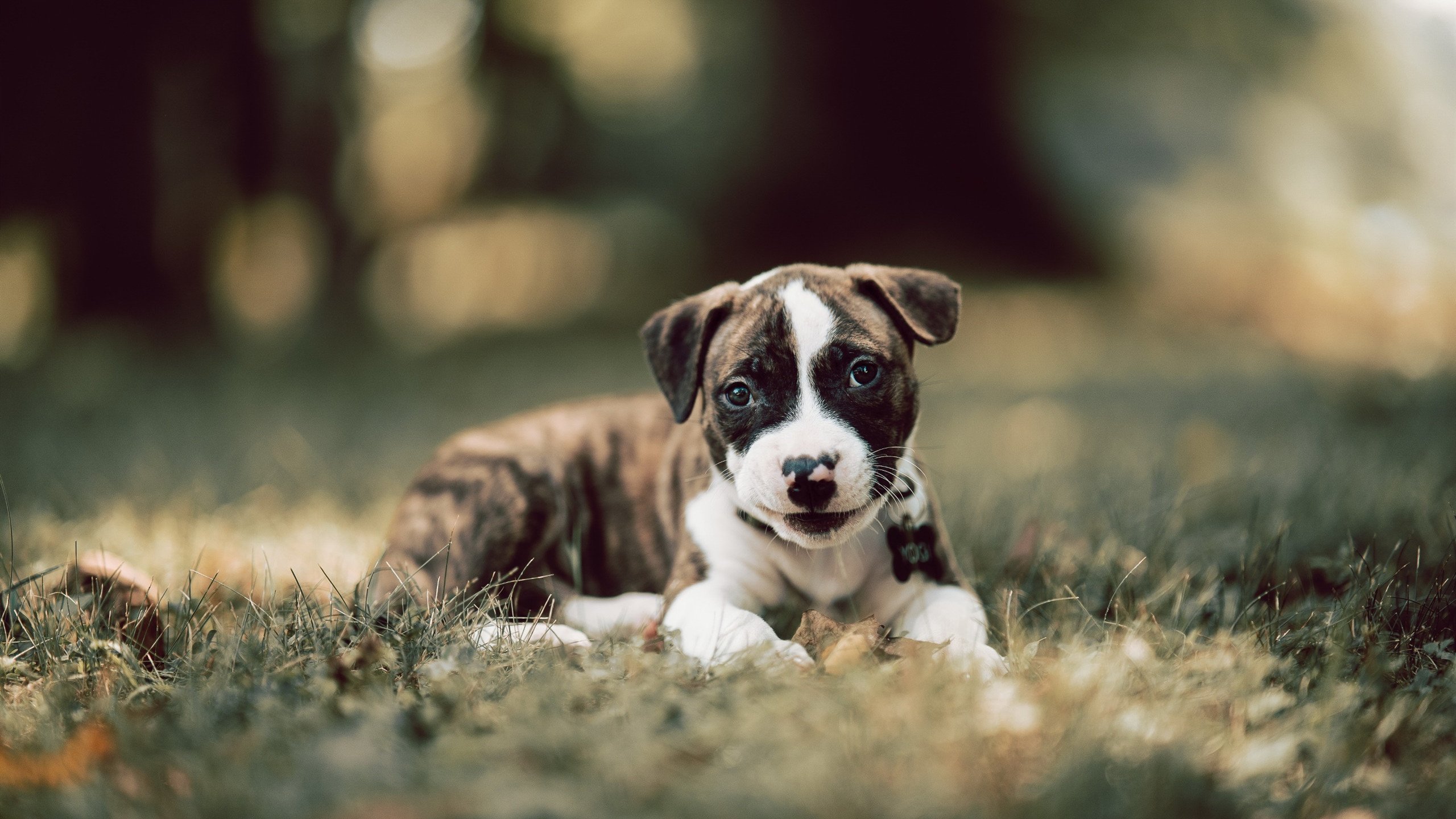 客场逆袭实力抢眼，成绩斐然引发热议，客场比赛是什么意思