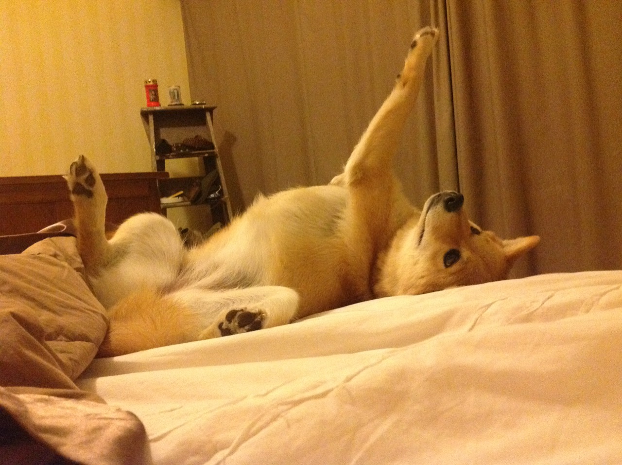 实力的碰撞:两支劲旅在欧洲舞台上对阵