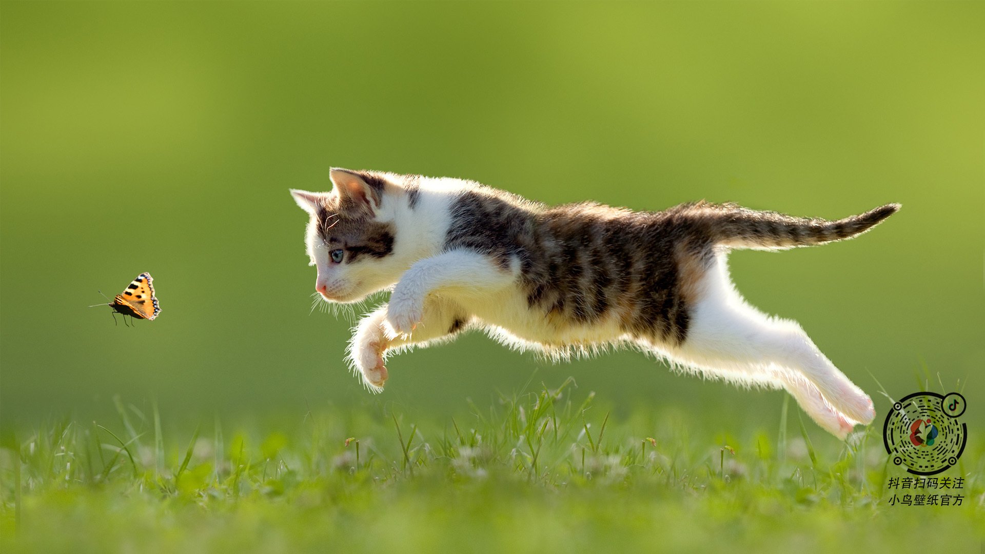 雄鹿险胜步行者,西部决赛中字母哥篮下统治全场,雄鹿队字母哥全名