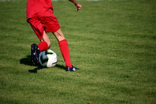 九游(jiuyou)官方网站-中国篮球教练员职业发展规划及培训体系，篮球教练员职业生涯规划