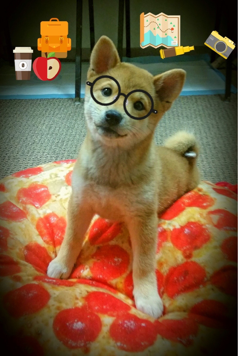 九游网页版官网-中国女篮团队协作默契 多点开花成亮点，中国女篮同组对手