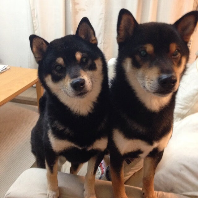 九游官网下载电脑版-德甲赛场盛宴：攻防转换间的精彩佳作，德甲防守最好的球队