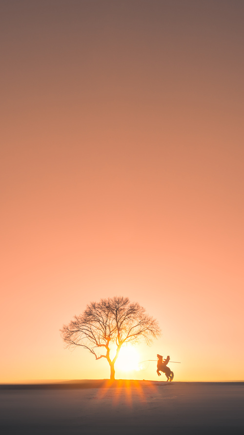 九游娱乐APP-澳大利亚女子橄榄球队获得新赞助支持，澳大利亚nrl橄榄球联赛