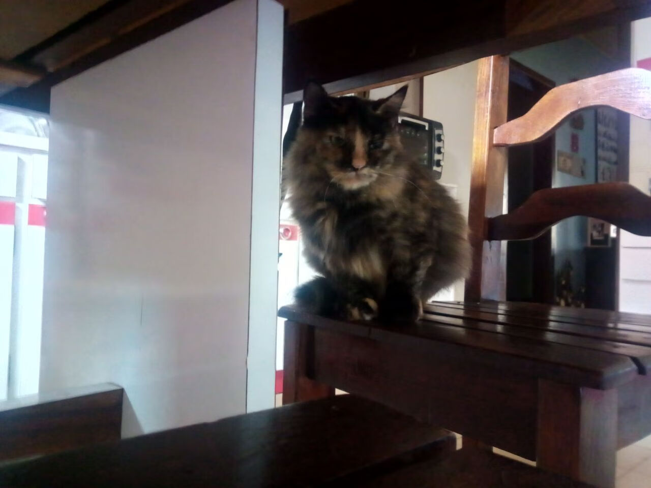 电子竞技校园联赛覆盖高校数量翻倍，校园电子竞技比赛